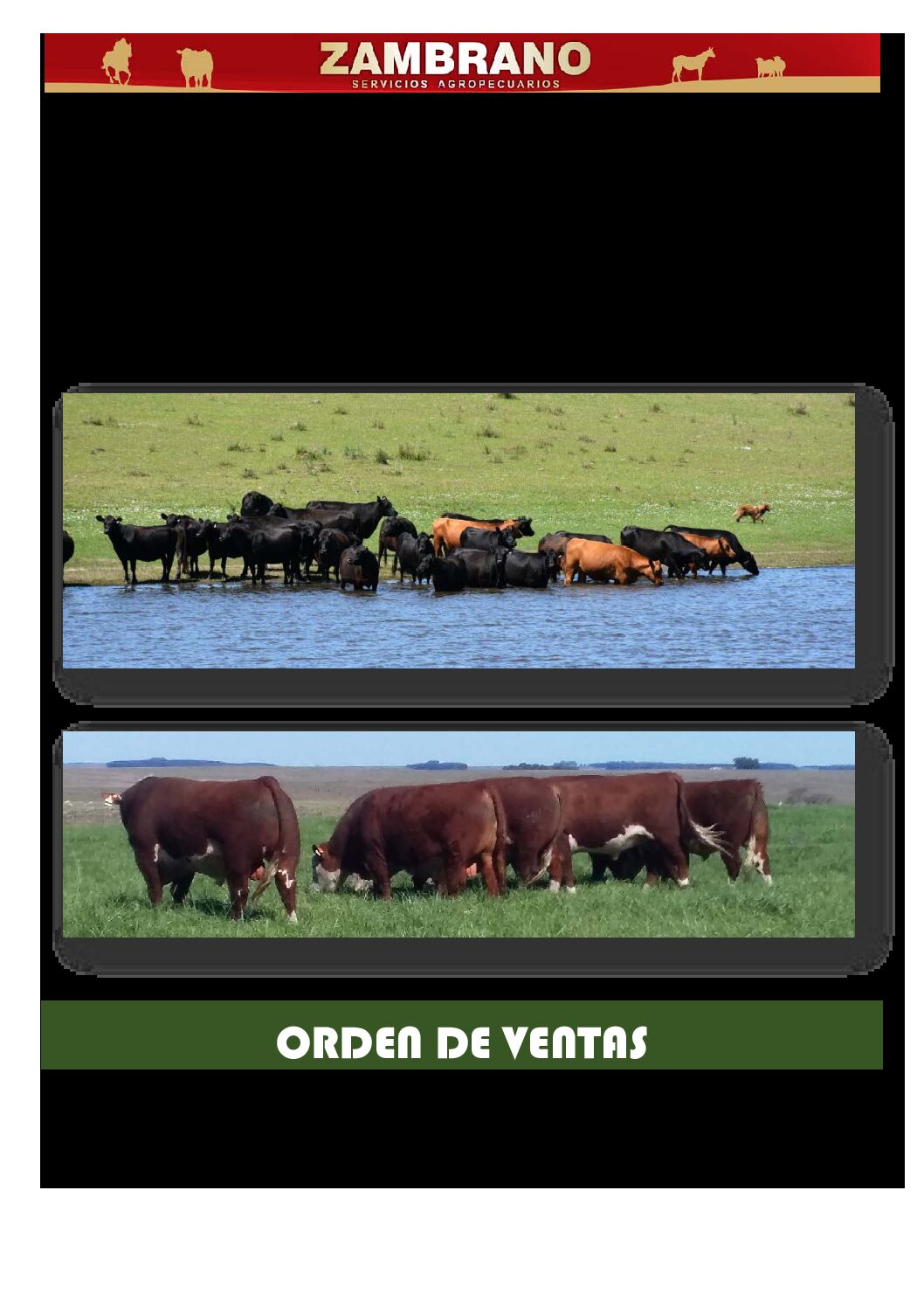 Orden de ventas