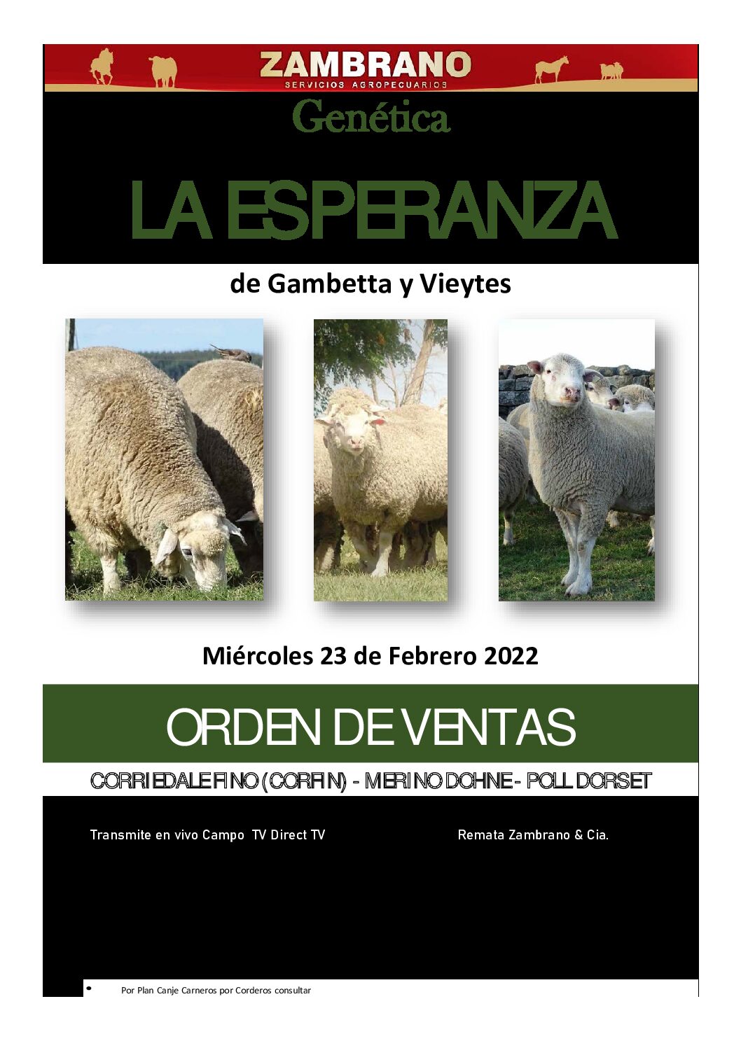 Orden de ventas