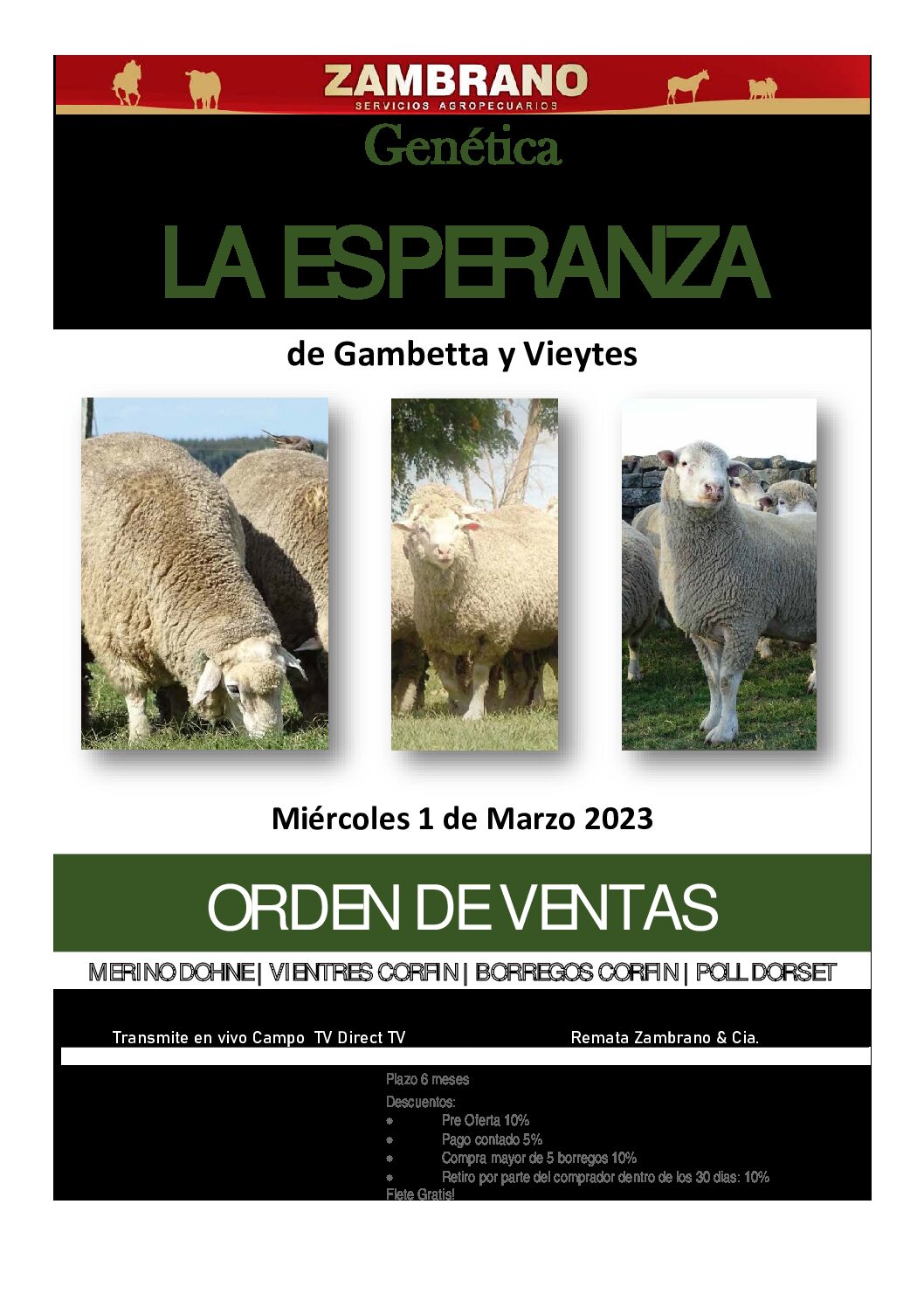 Orden de ventas