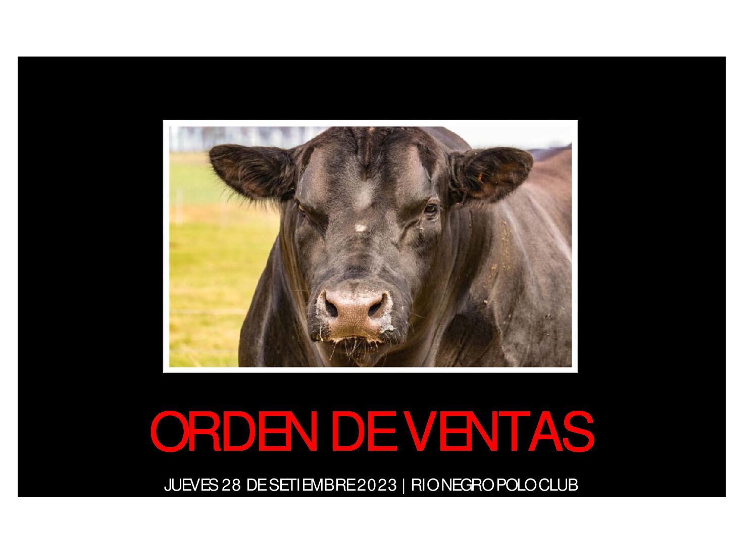 Orden de ventas