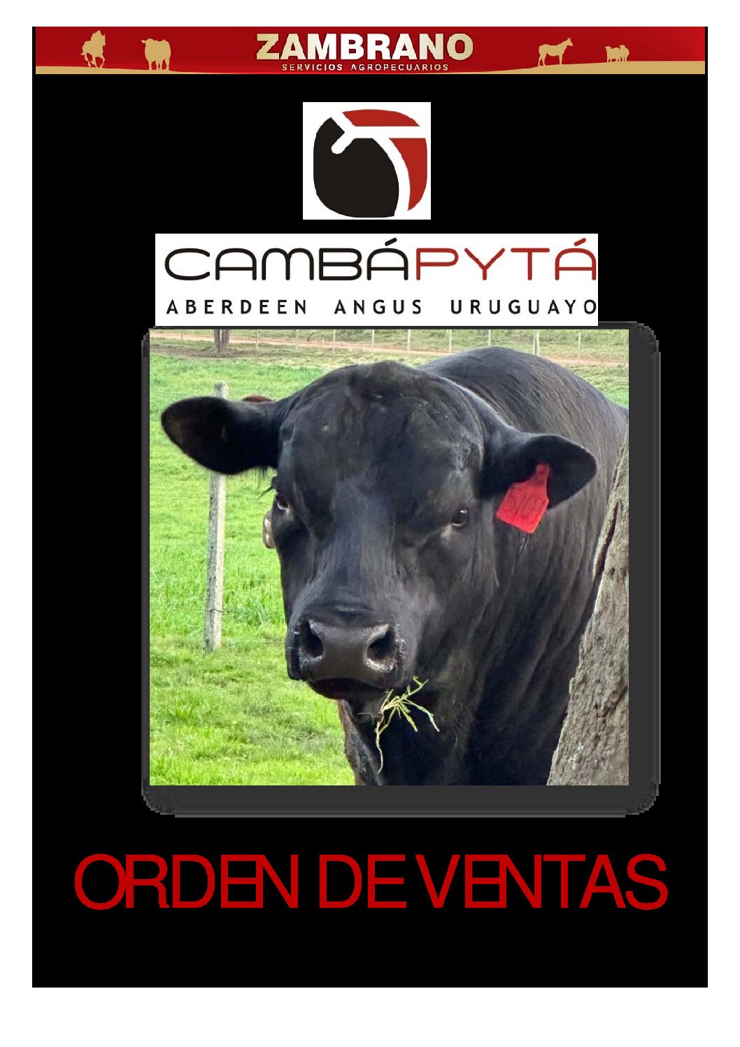 Orden de ventas