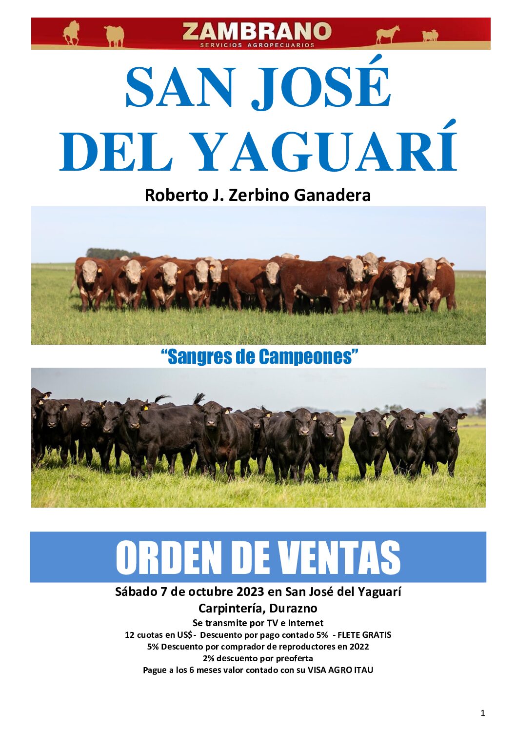 Orden de ventas
