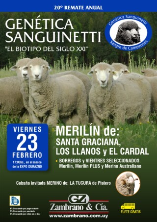 Afiche