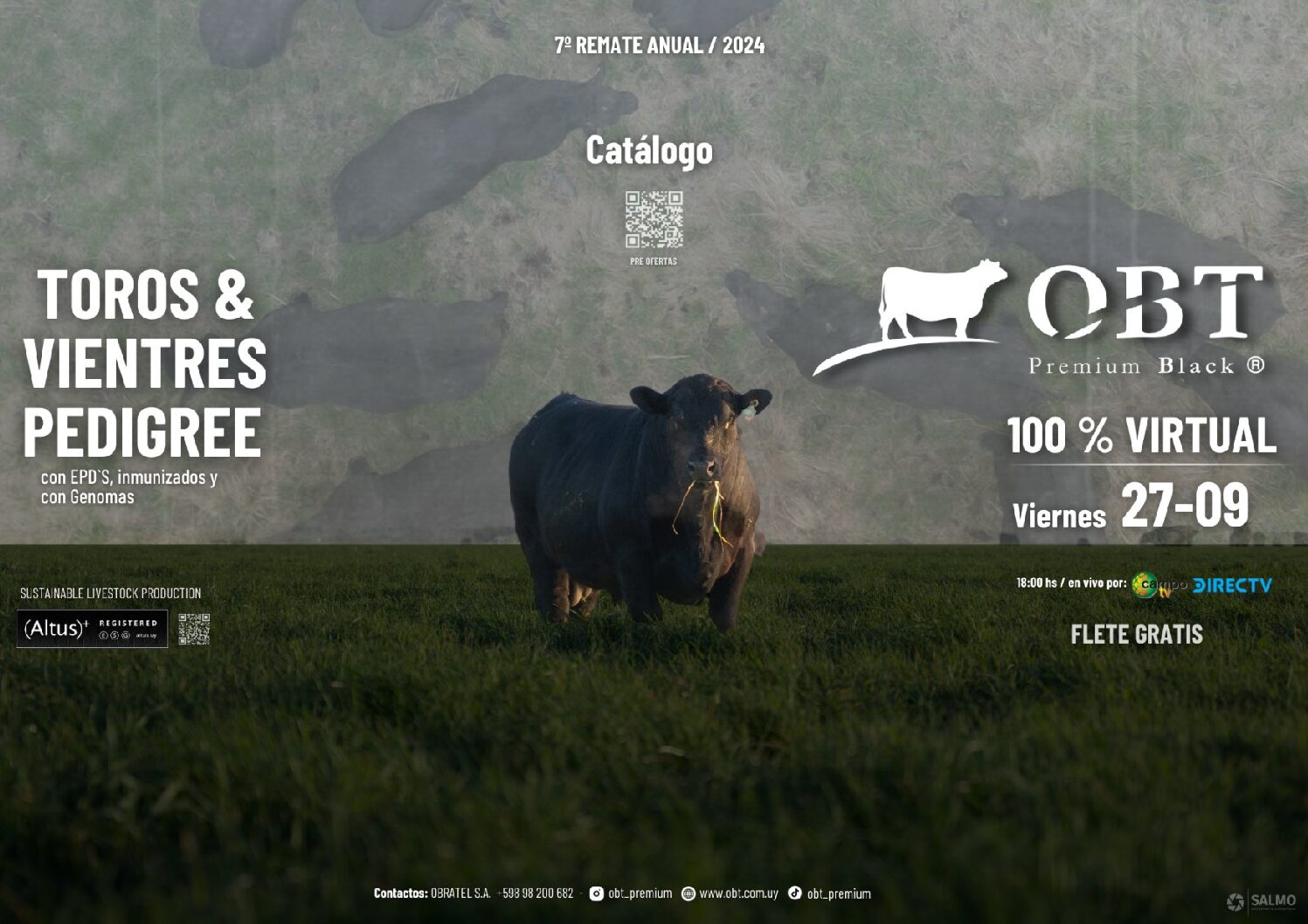 Catálogo PDF
