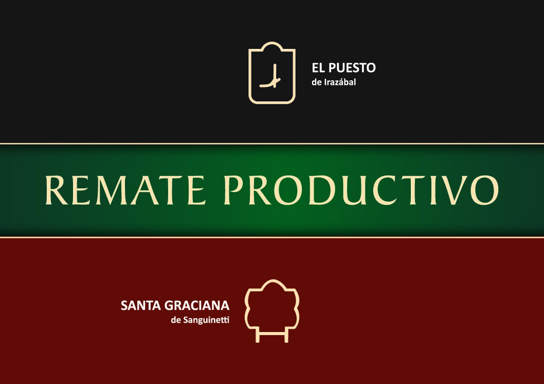 Catálogo PDF