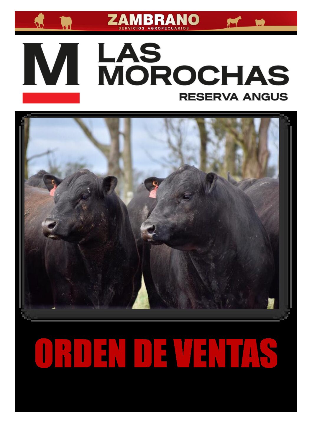 Orden de ventas