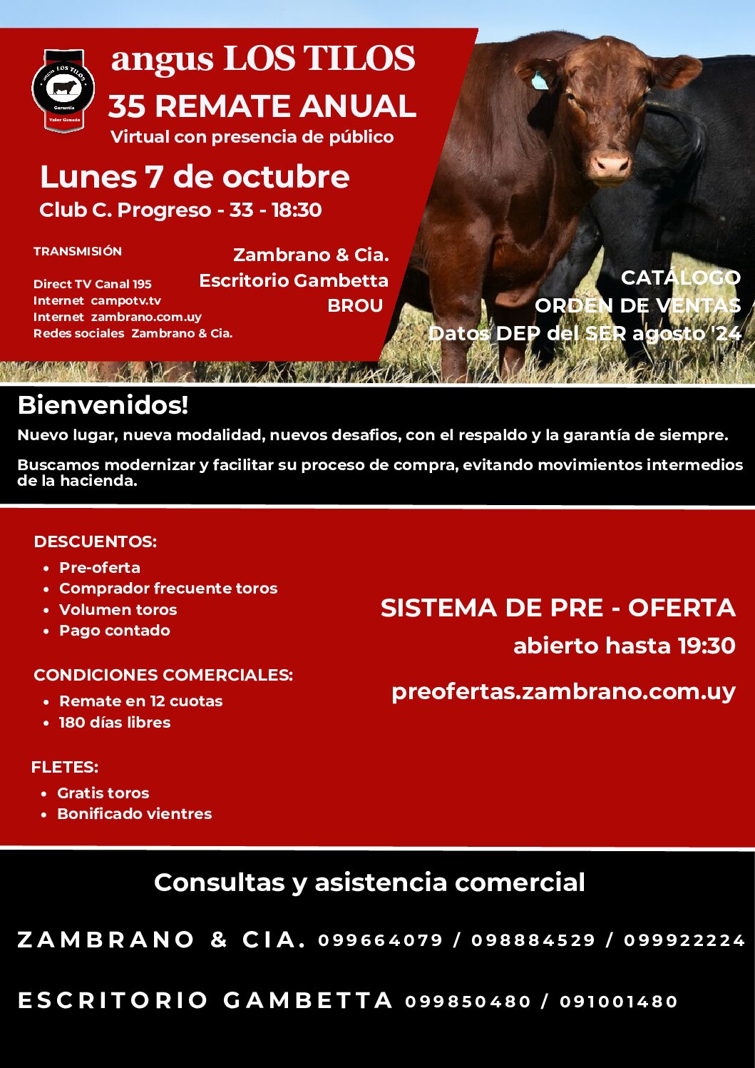 Catálogo PDF