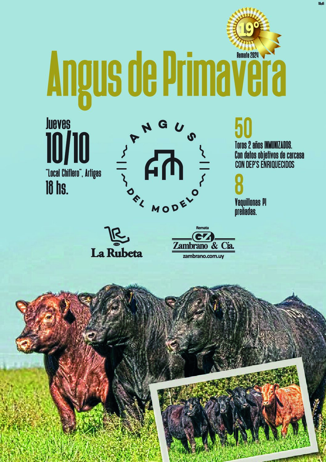 Catálogo PDF