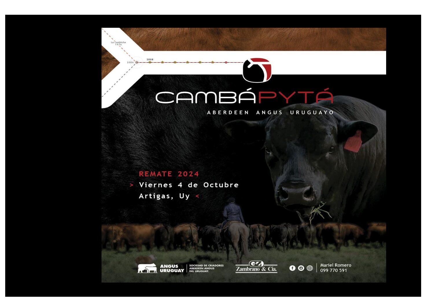 Catálogo PDF