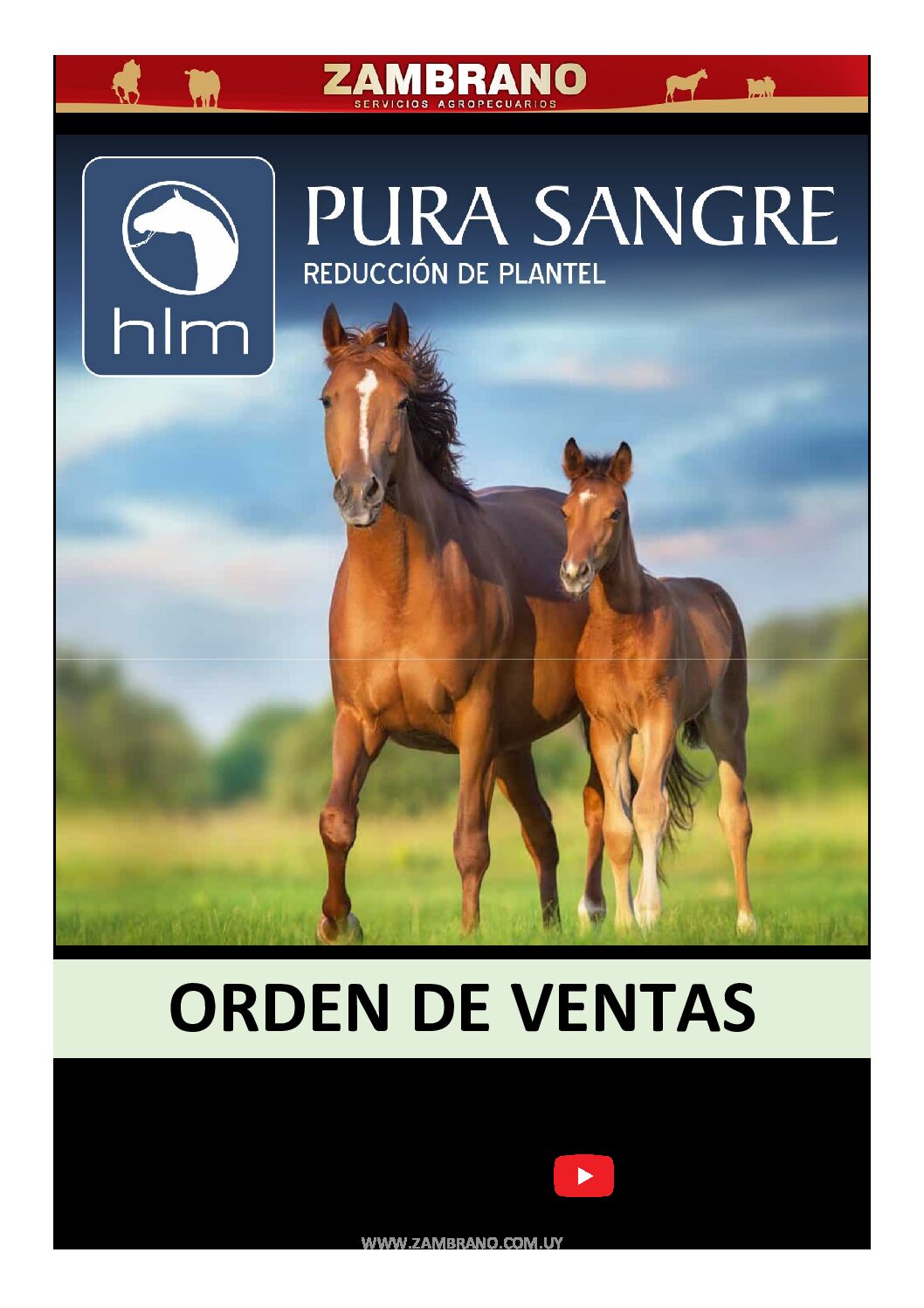 Orden de ventas