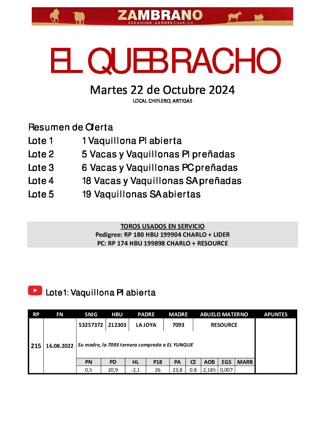 Catálogo PDF