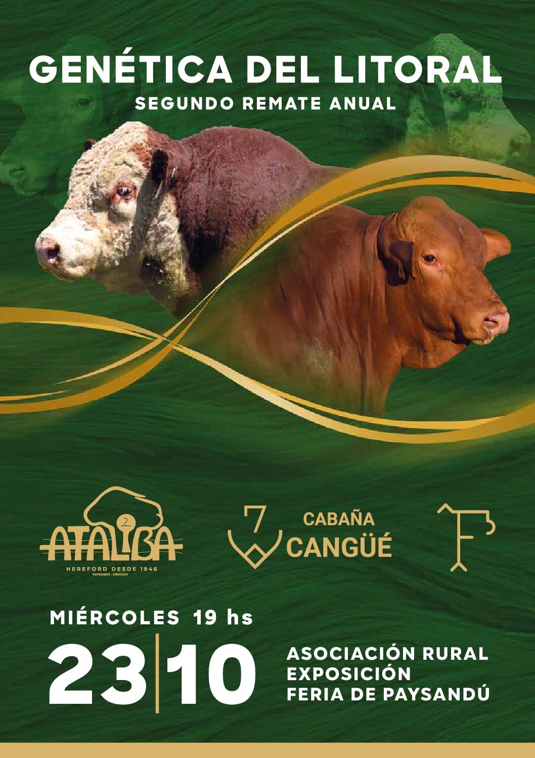Catálogo PDF