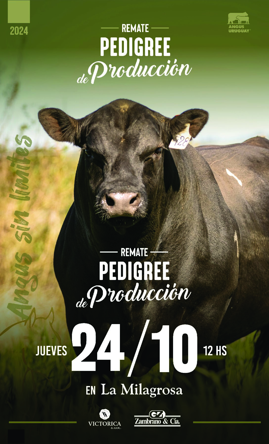Catálogo PDF