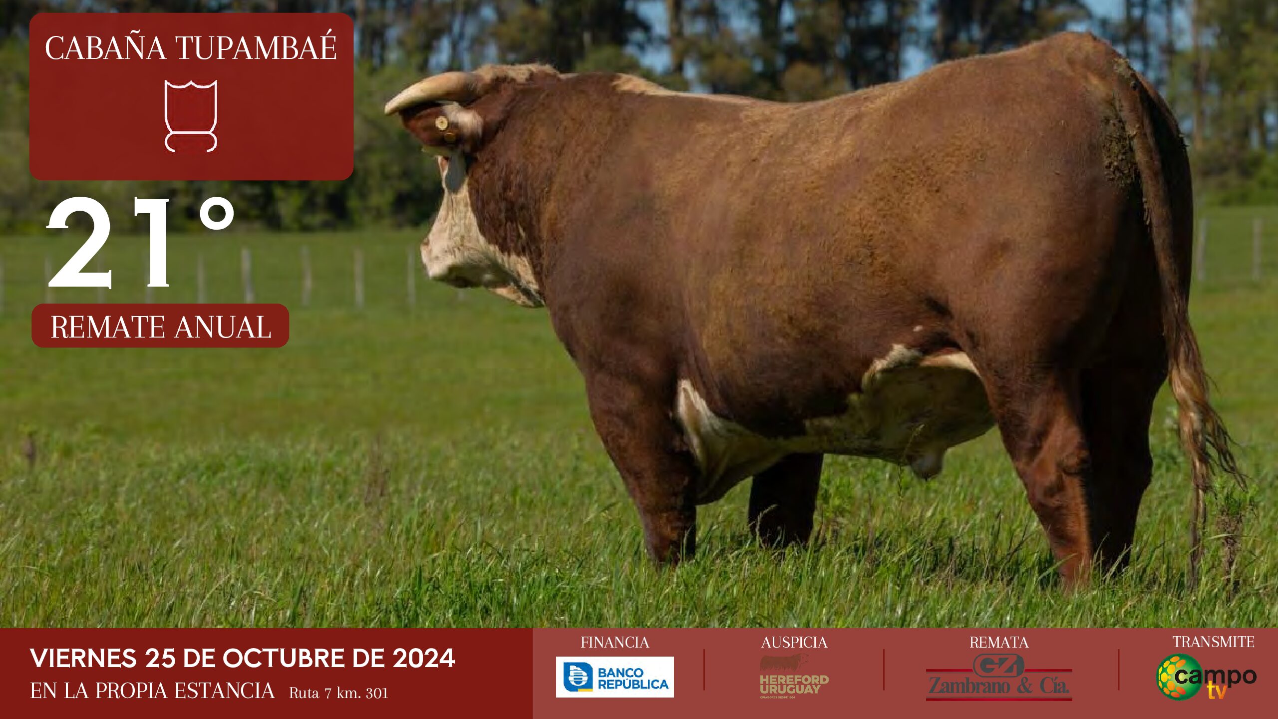 Catálogo PDF