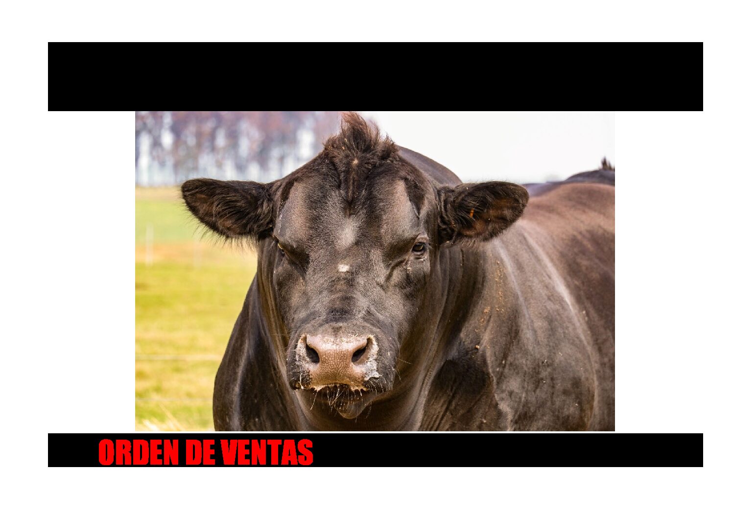 Orden de ventas