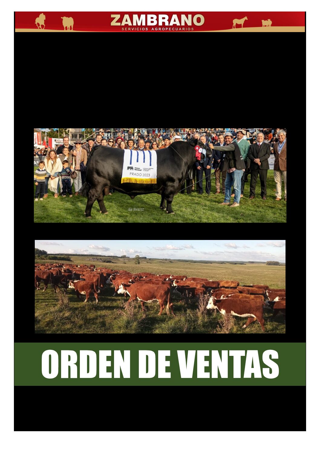 Orden de ventas