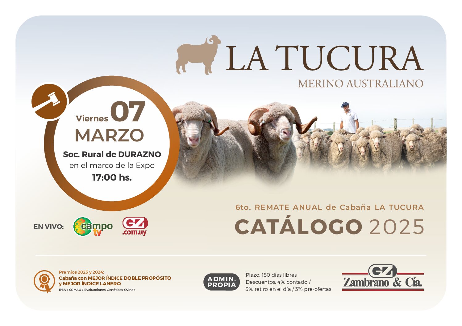 Catálogo PDF