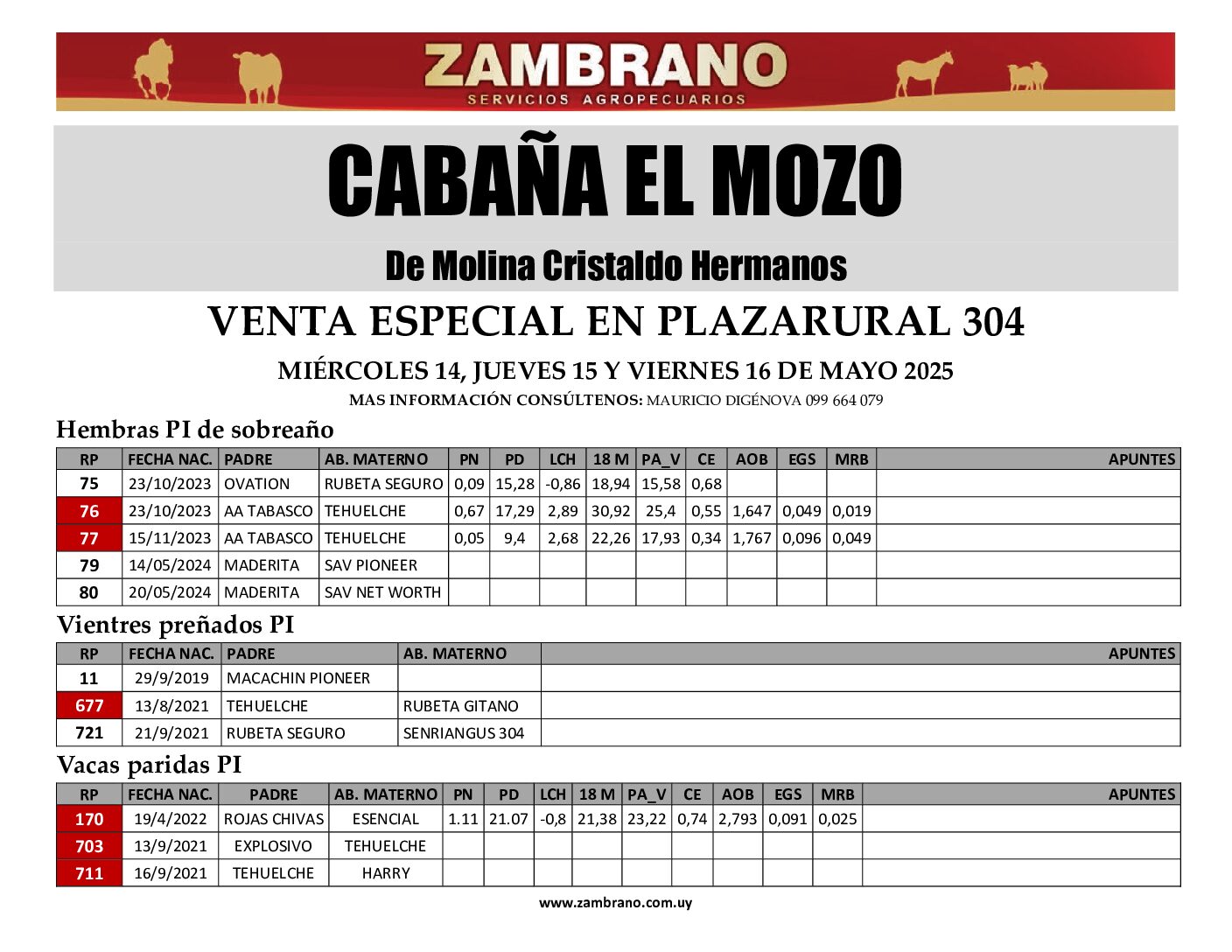 Catálogo PDF