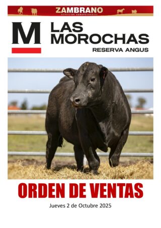 Orden de ventas