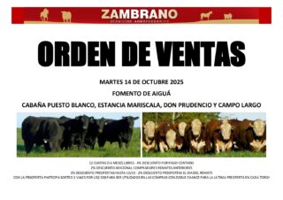 Orden de ventas