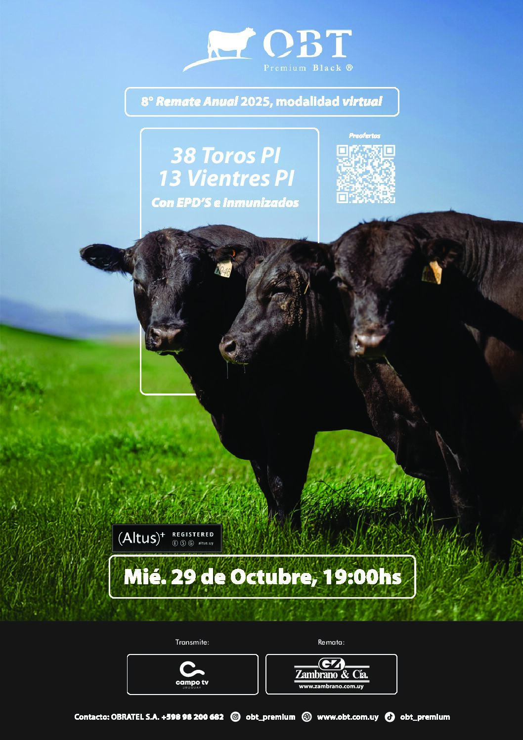 Catálogo PDF