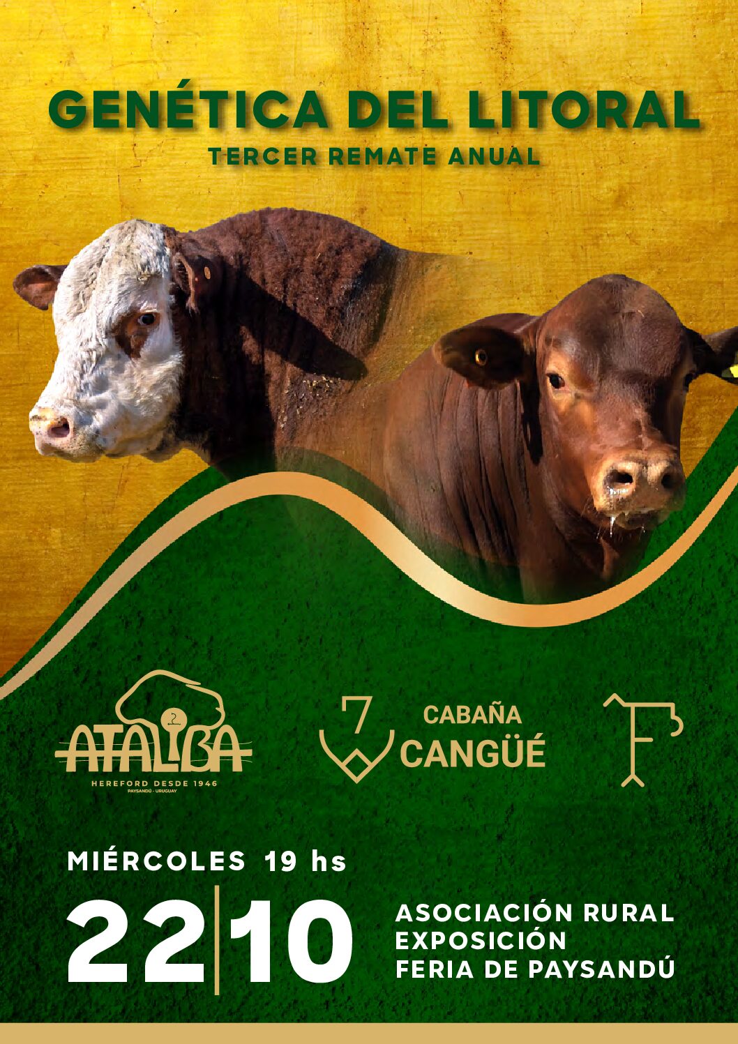 Catálogo PDF