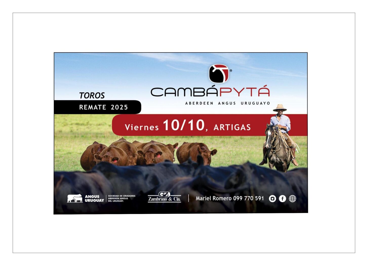 Catálogo PDF