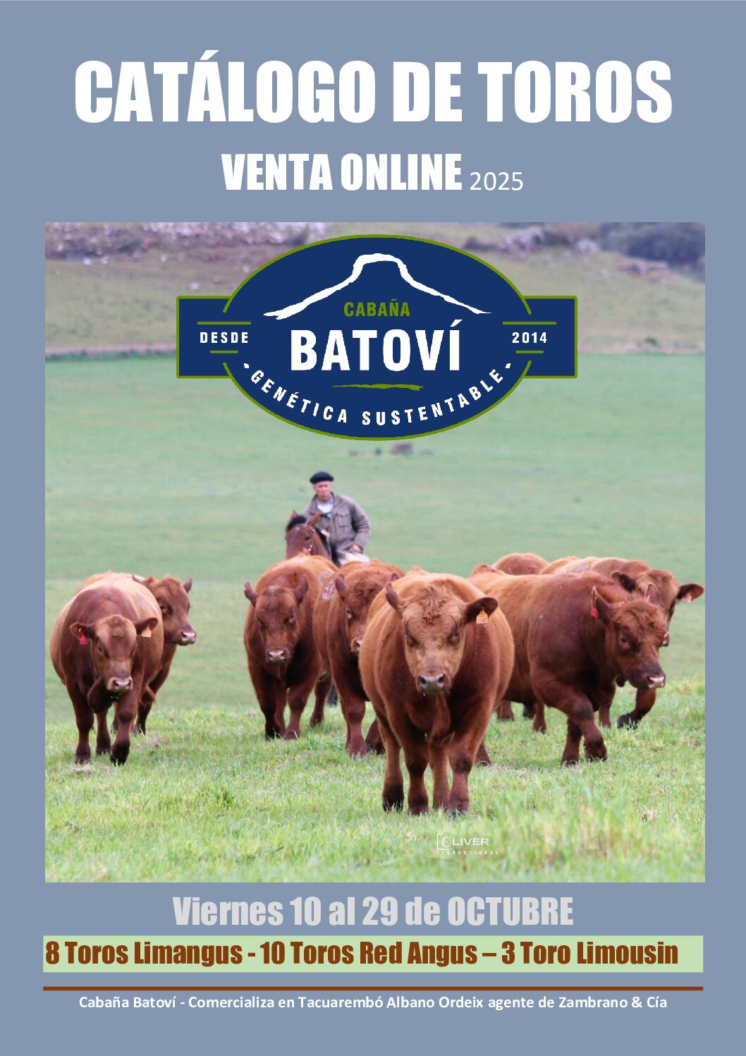 Catálogo PDF