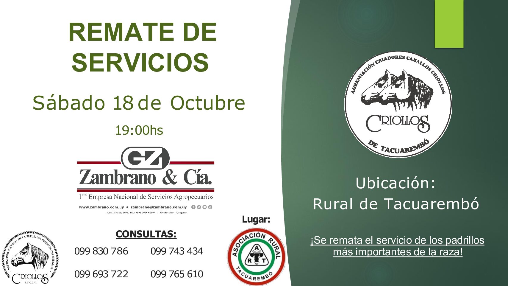 Catálogo PDF