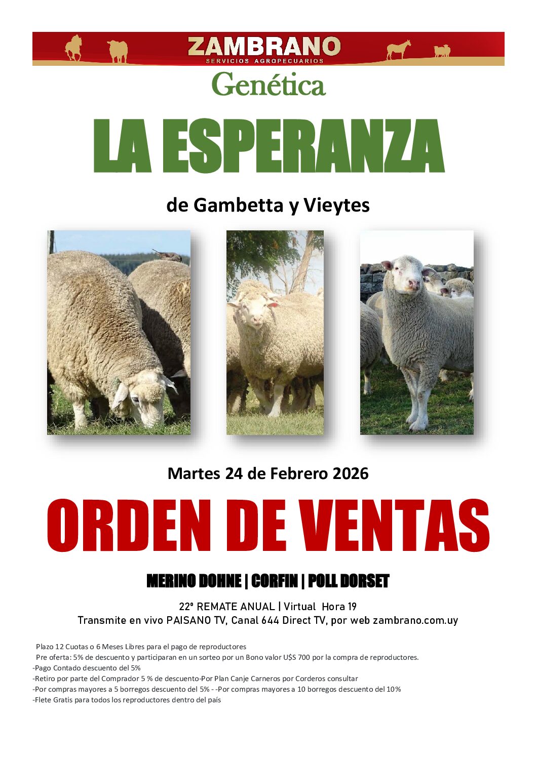 Orden de ventas