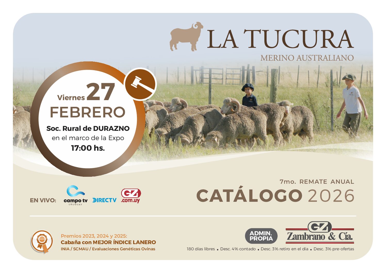 Catálogo PDF