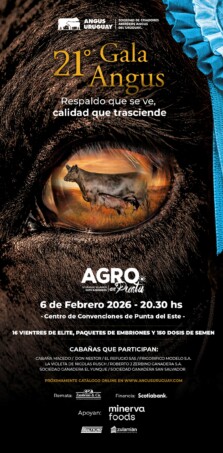 Afiche