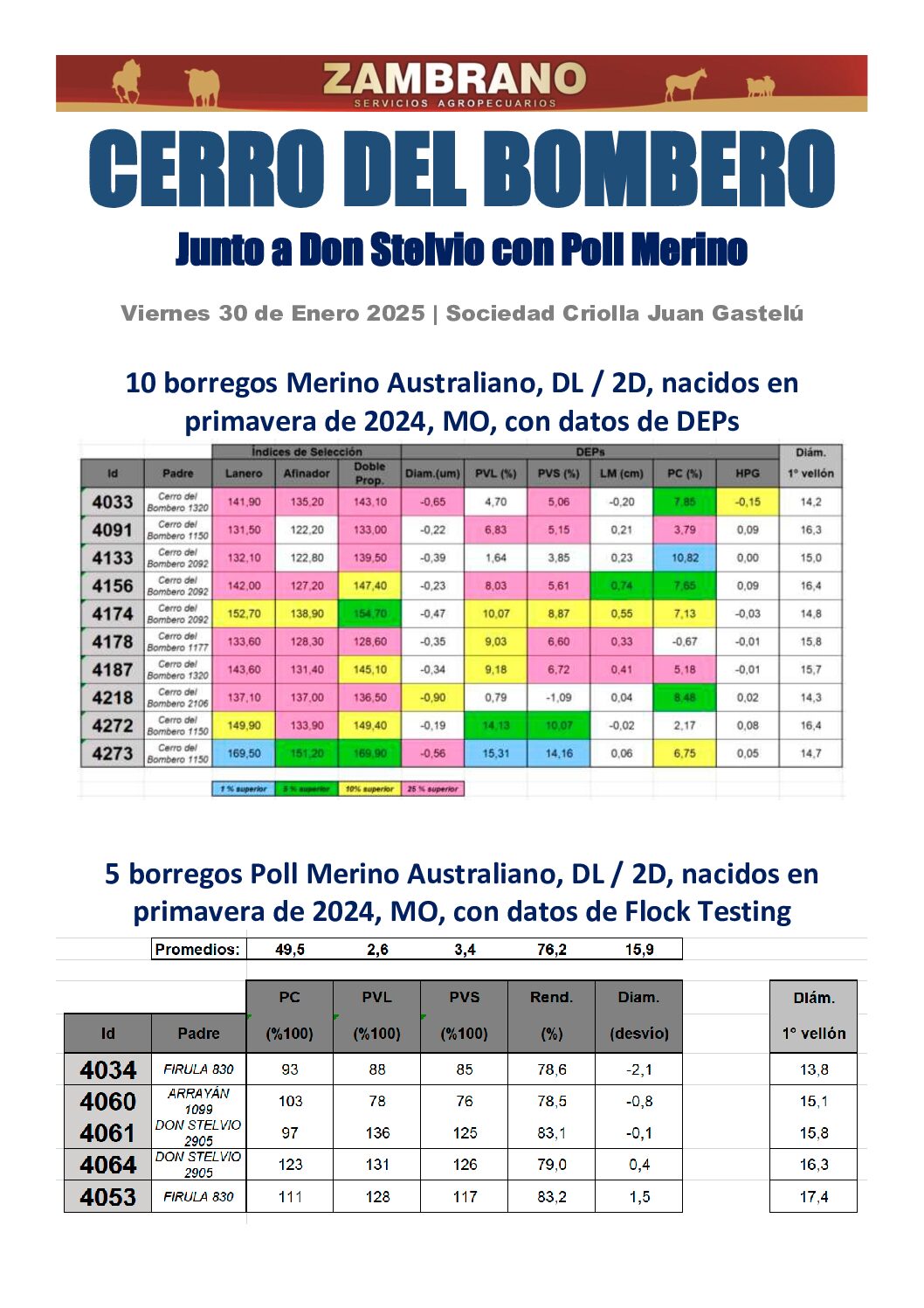 Catálogo PDF