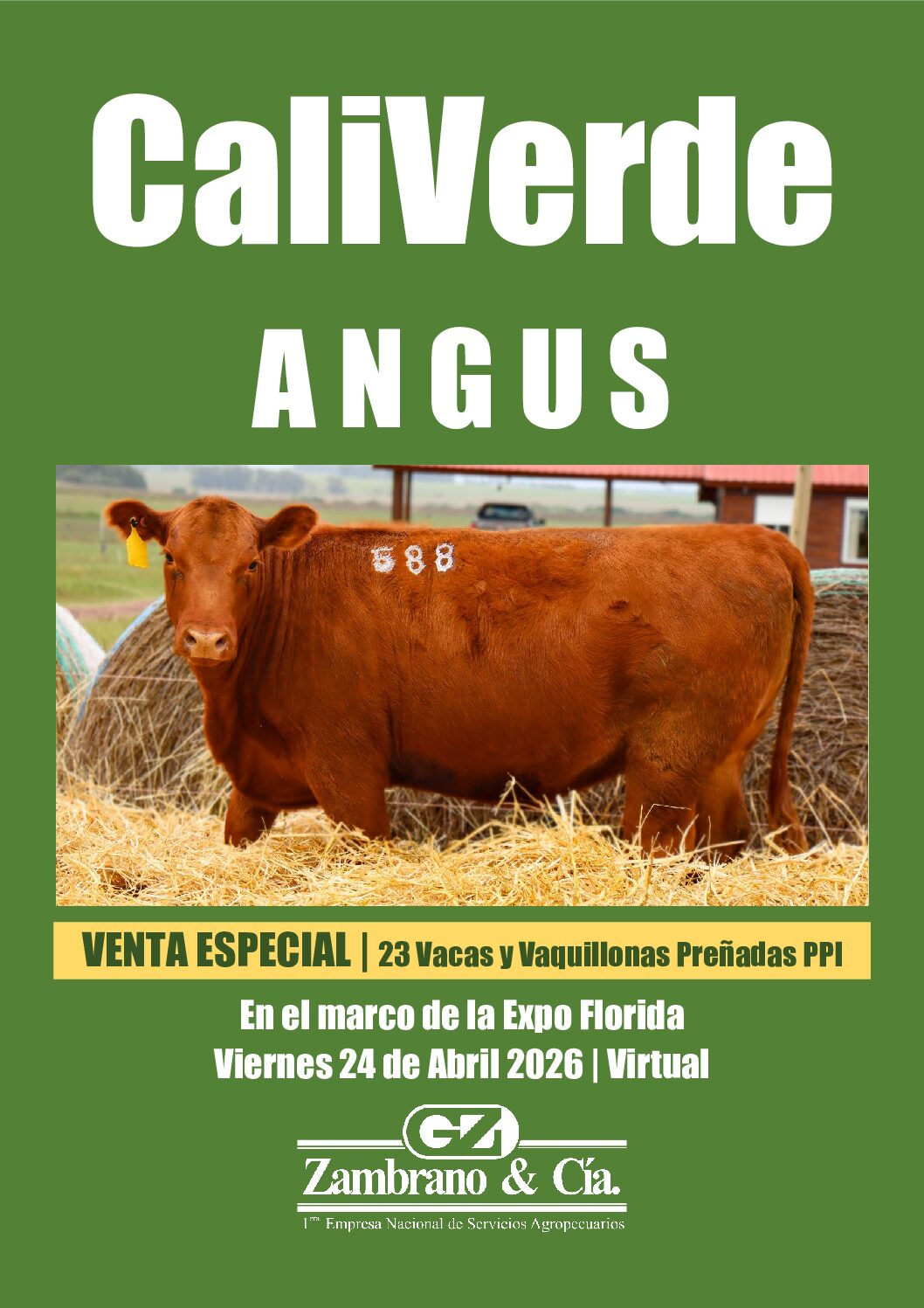 Catálogo PDF