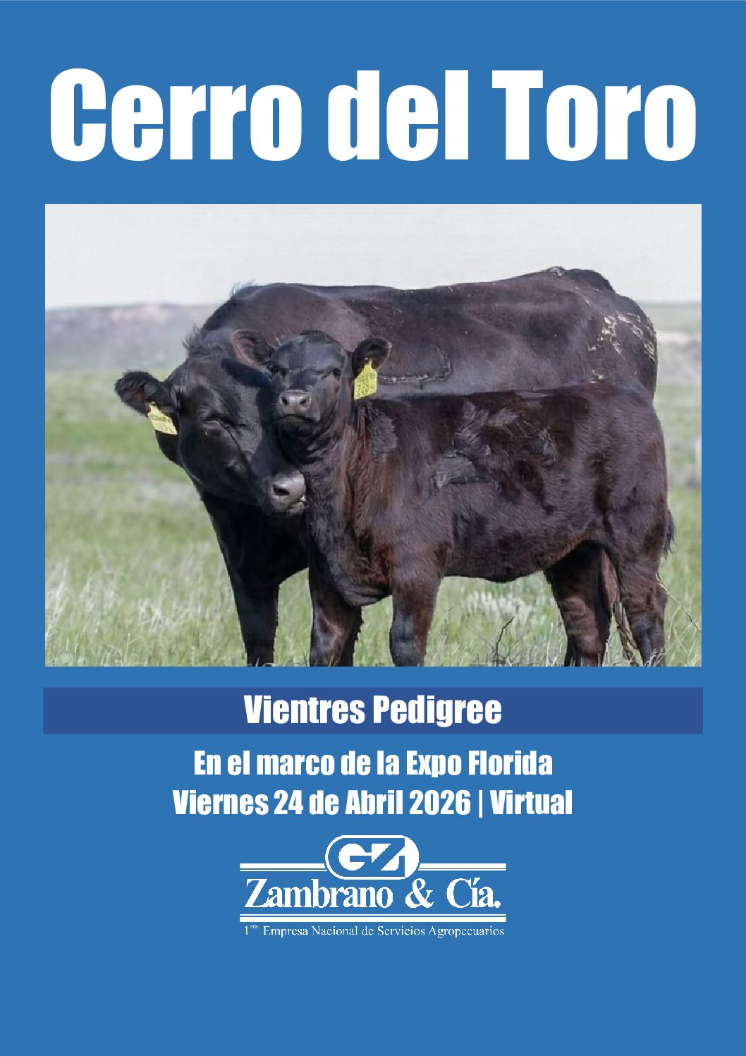 Catálogo PDF