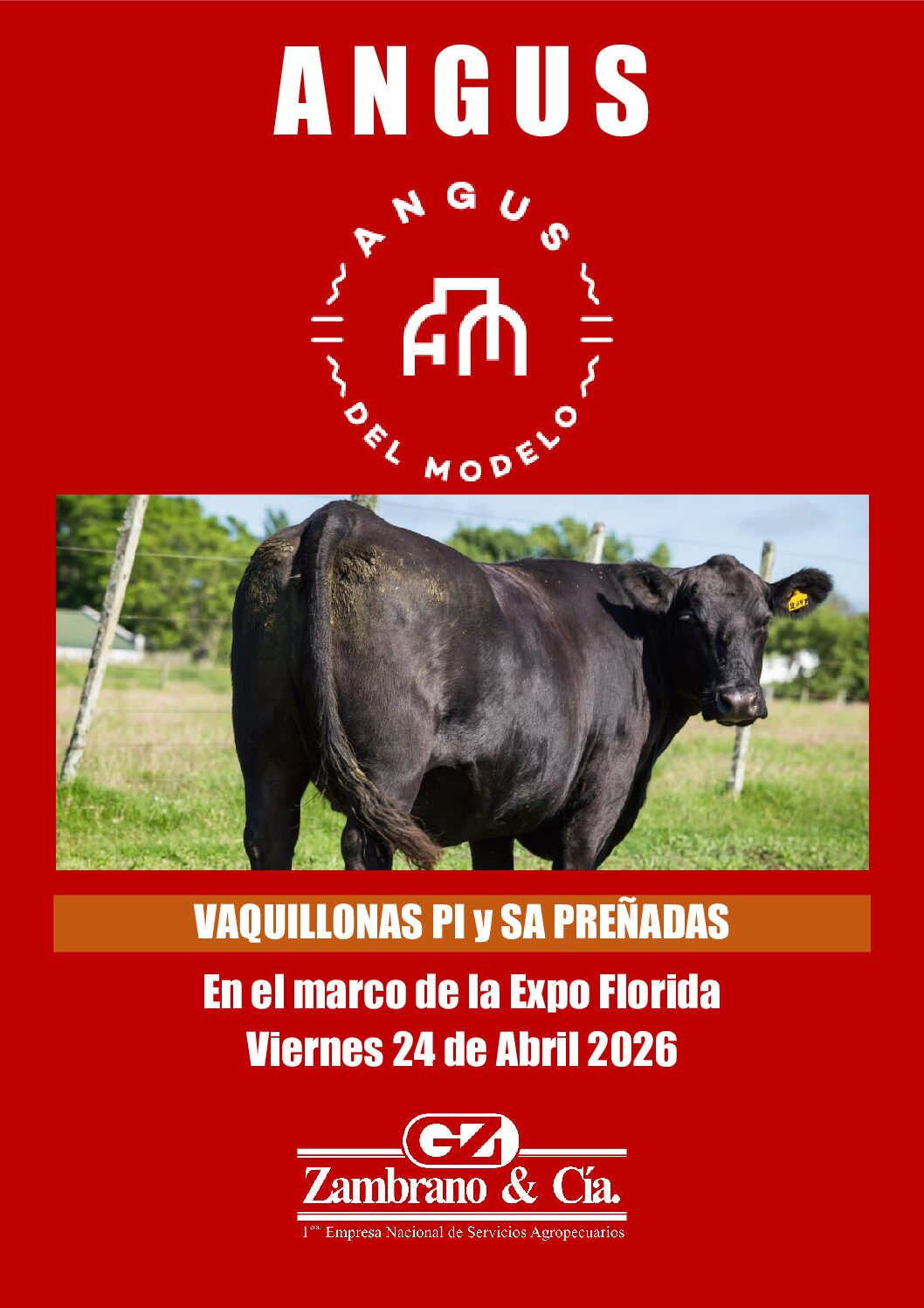 Catálogo PDF