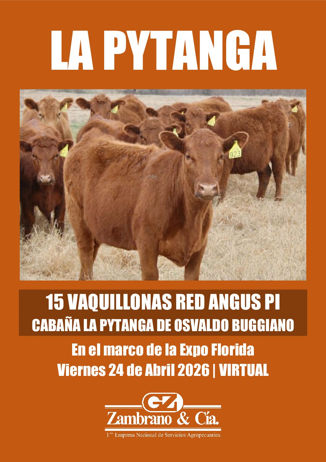 Catálogo PDF