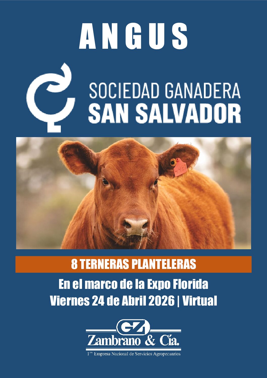 Catálogo PDF