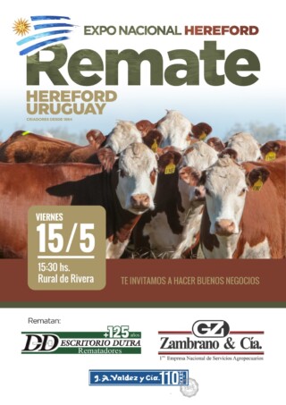 Afiche