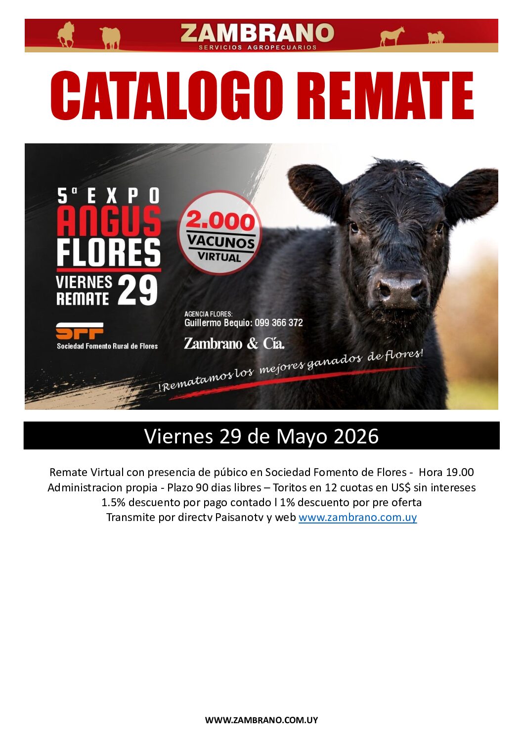 Catálogo PDF