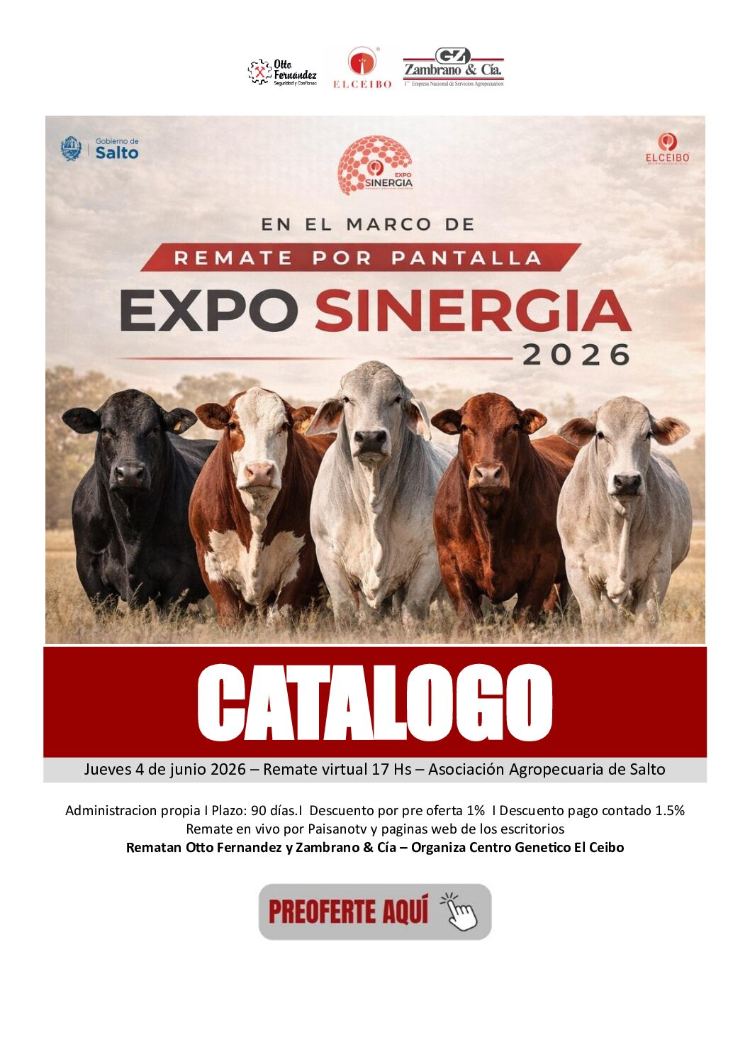 Catálogo PDF