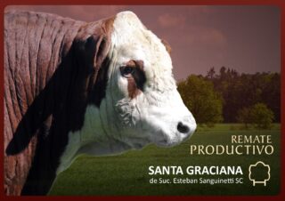 Catálogo PDF