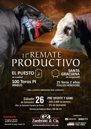 REMATE PRODUCTIVO