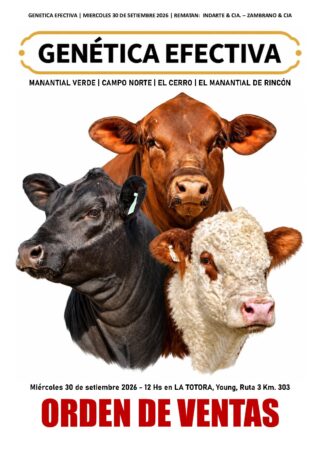 Orden de ventas