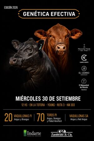 Afiche