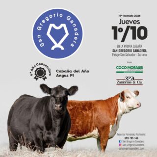 Afiche