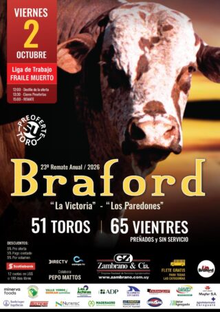 Afiche