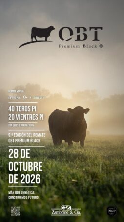 Afiche