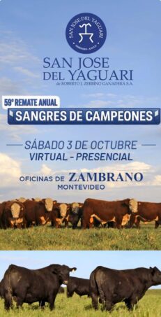 Afiche