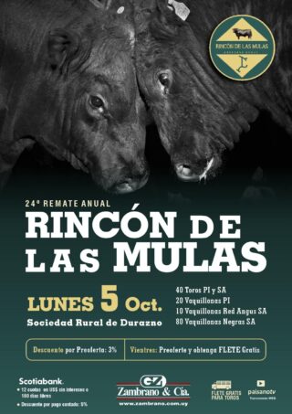 Afiche
